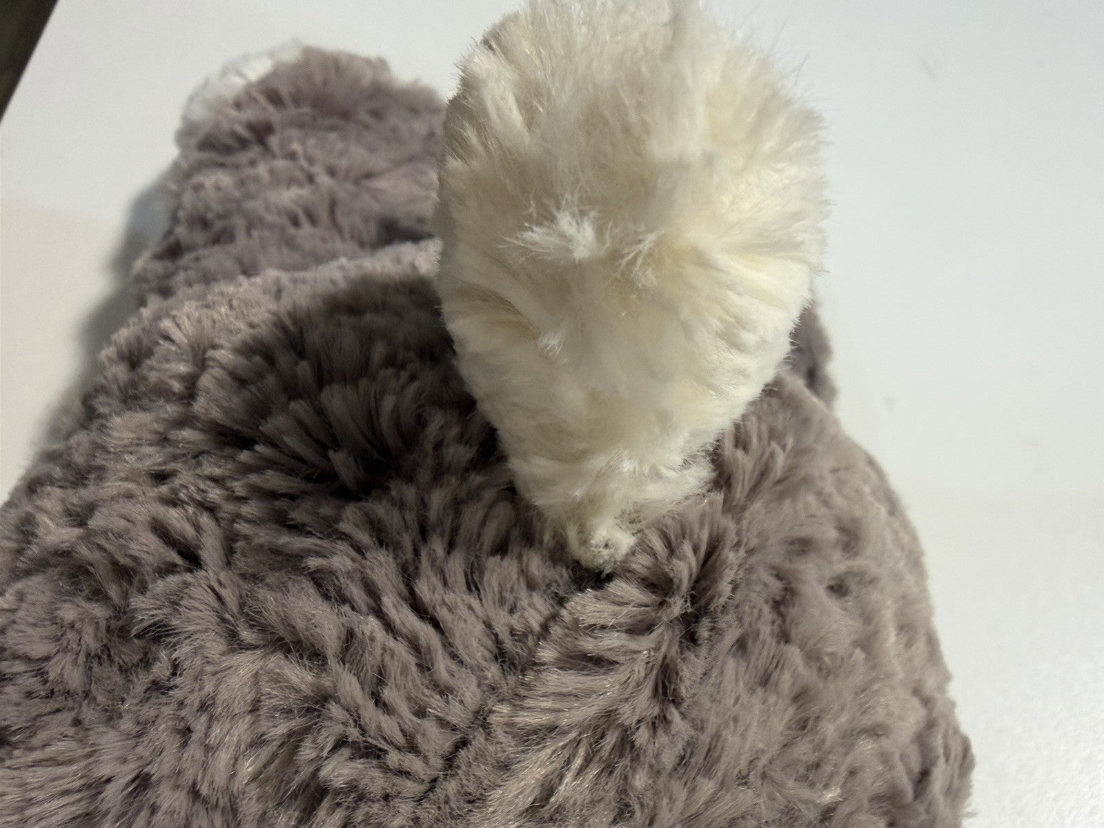 Jellycat Smudge Puppy Plush Stuffed Animal6